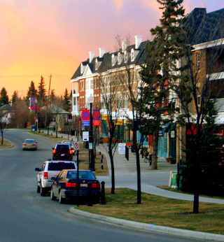 Garrison Woods at Dusk