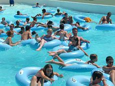 Calgary Swimming Pools