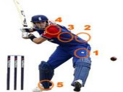 Common injury sites in Cricket