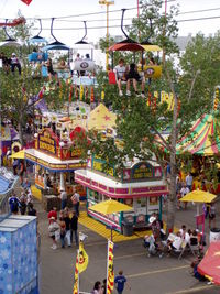 Calgary Stampede Picture