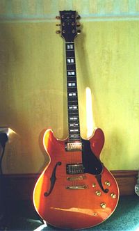 Semi-Hollowbody