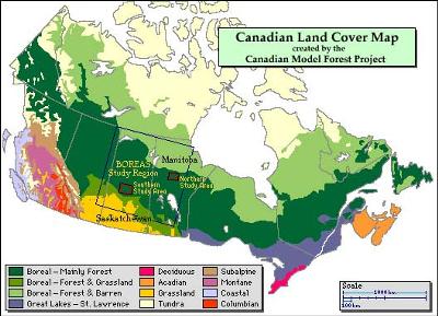 Vegetation cover in Canada
