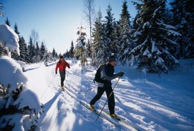 Things to do in Canada